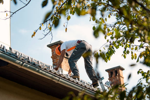 Best Roof Gutter Cleaning  in Rosenhayn, NJ