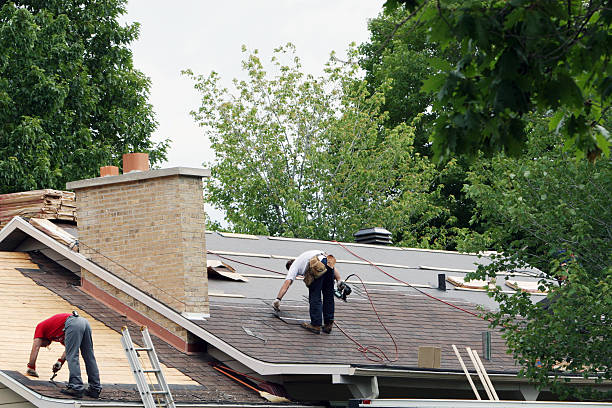 Best Roof Gutter Cleaning  in Rosenhayn, NJ