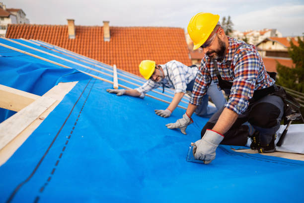 Best Storm Damage Roof Repair  in Rosenhayn, NJ