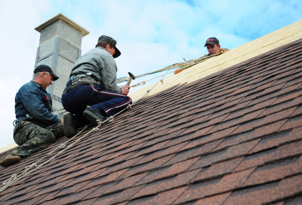 Best Roof Waterproofing Services  in Rosenhayn, NJ